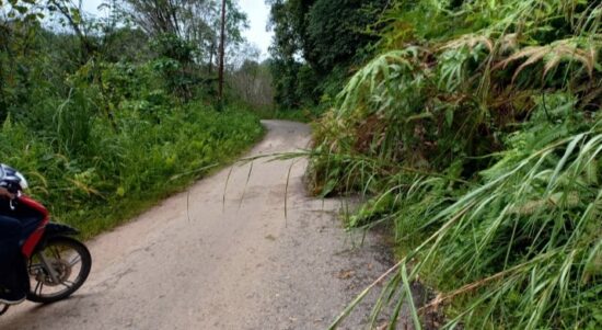 Kondisi jalan menuju kecamatan Batang Asai, Sarolangun